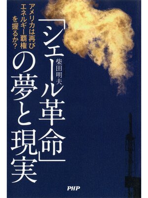cover image of 「シェール革命」の夢と現実　アメリカは再びエネルギー覇権を握るか?